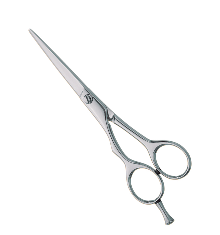 13.jpg Professional Hair Cutting Scissors - Image 1
